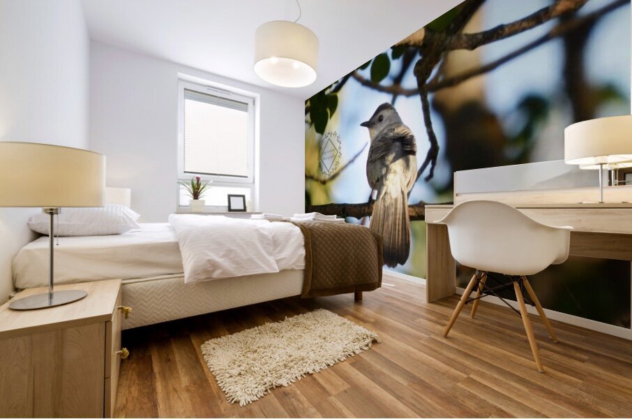 Catbird at Sunset Mural print