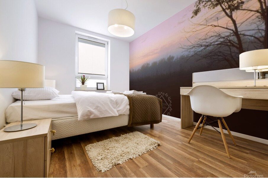 Fog at Sunset Mural print