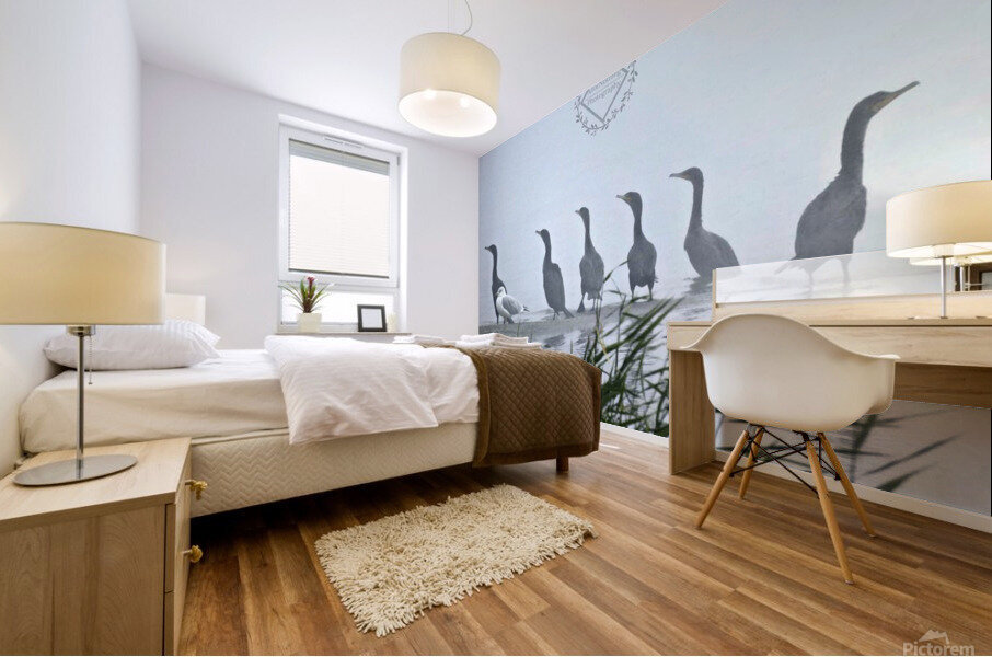 Odd One Out Mural print