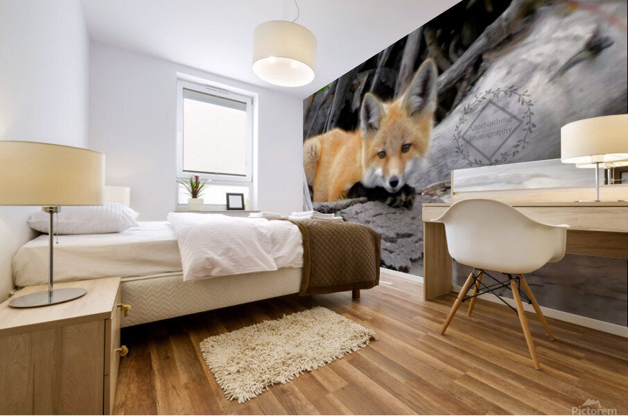 Curious Fox Mural print