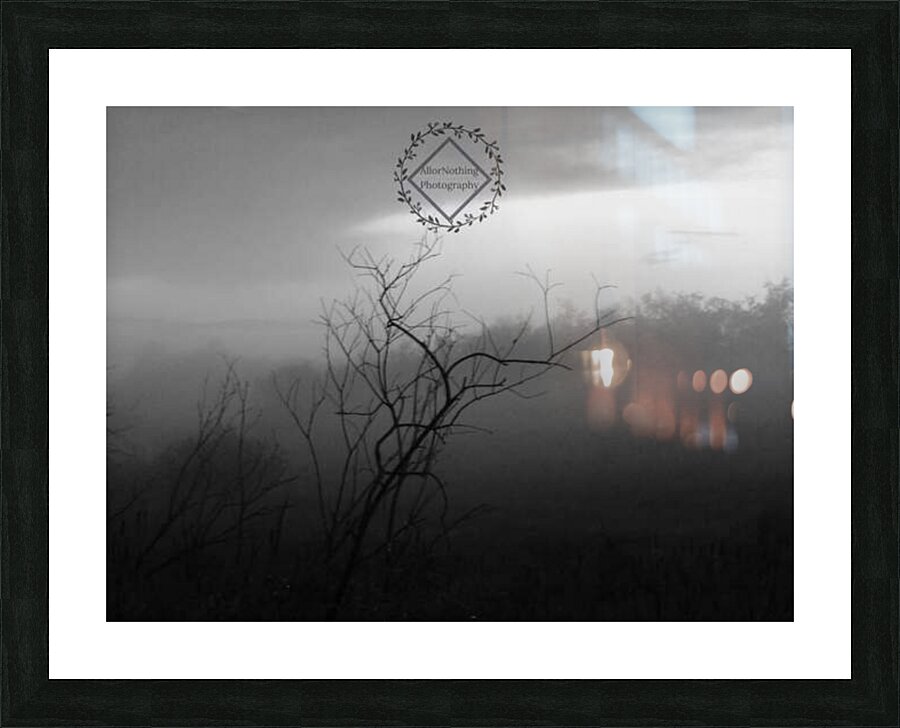 Dark Tree Picture Frame print