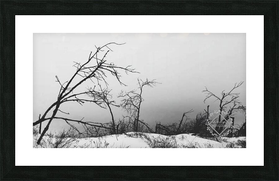 Dark Winter Picture Frame print