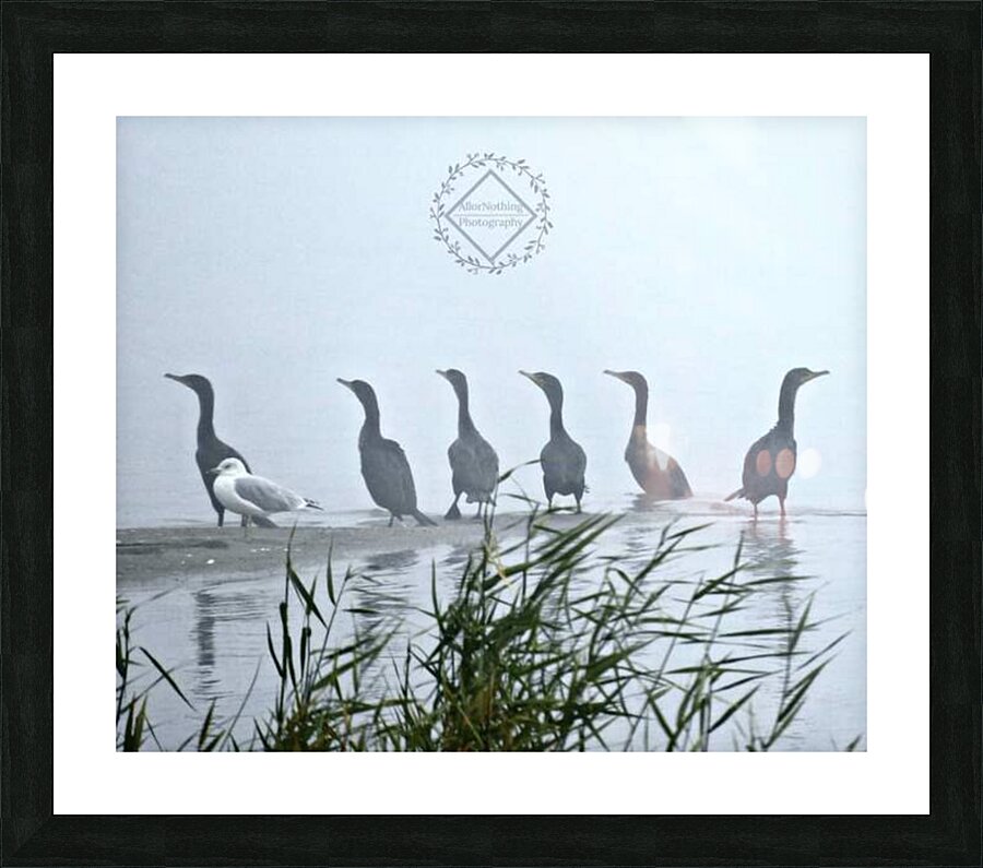 Odd One Out Picture Frame print