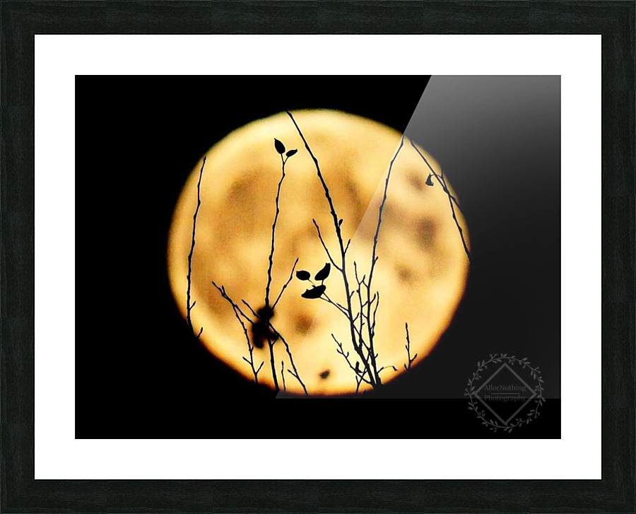 Harvest Moon Picture Frame print