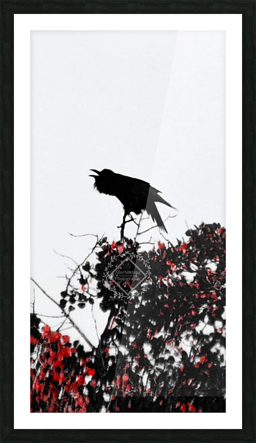 Raven Call Picture Frame print