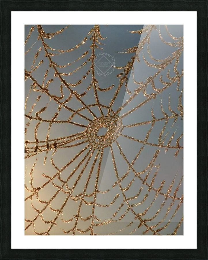 Crystal Web Picture Frame print