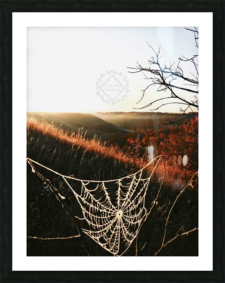 Cobweb Valley Picture Frame print