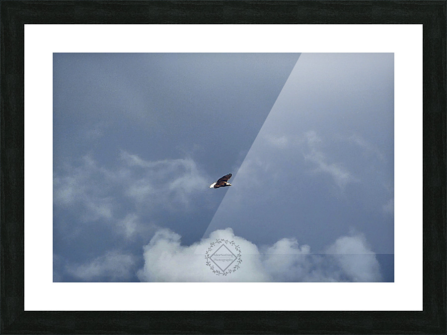 Eagle in the clouds Picture Frame print