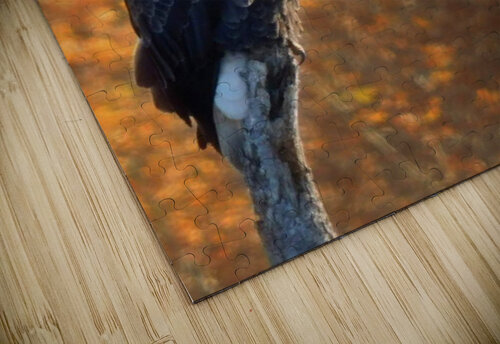 Autumn Eagle II Ashton Leigh Lerat puzzle