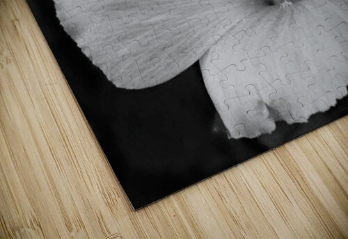 Lavatera  Ashton Leigh Lerat puzzle