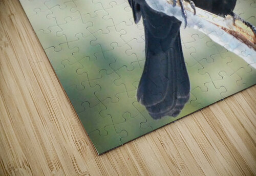 Chilly Blackbird Ashton Leigh Lerat puzzle