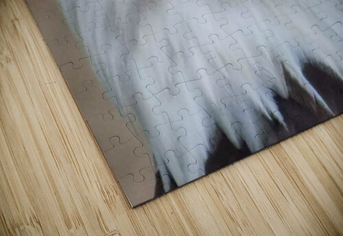 Bald Eagle Ashton Leigh Lerat puzzle