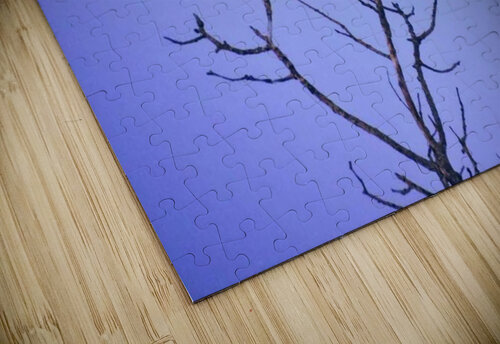 Tree Top Grouse Ashton Leigh Lerat puzzle