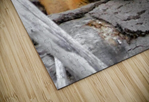 Curious Fox Ashton Leigh Lerat puzzle