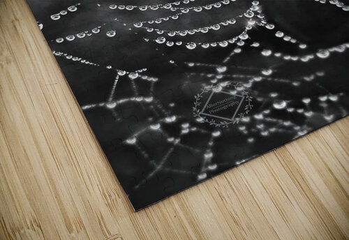 Spiderweb Dew Ashton Leigh Lerat puzzle