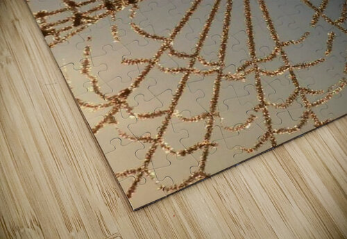 Crystal Web Ashton Leigh Lerat puzzle