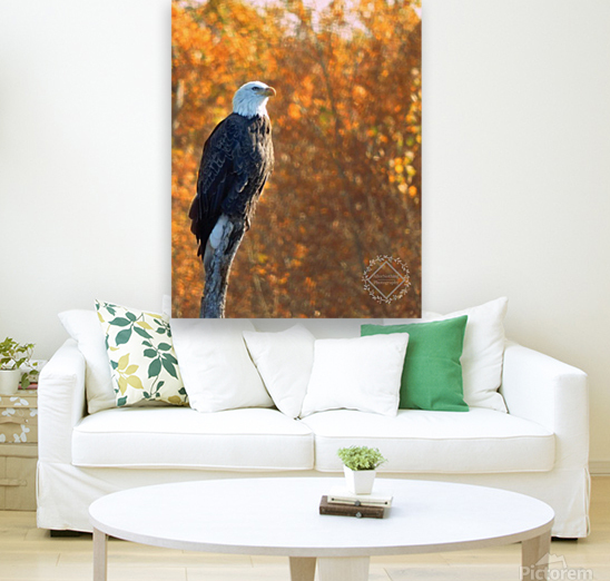 Autumn Eagle II Reproduction