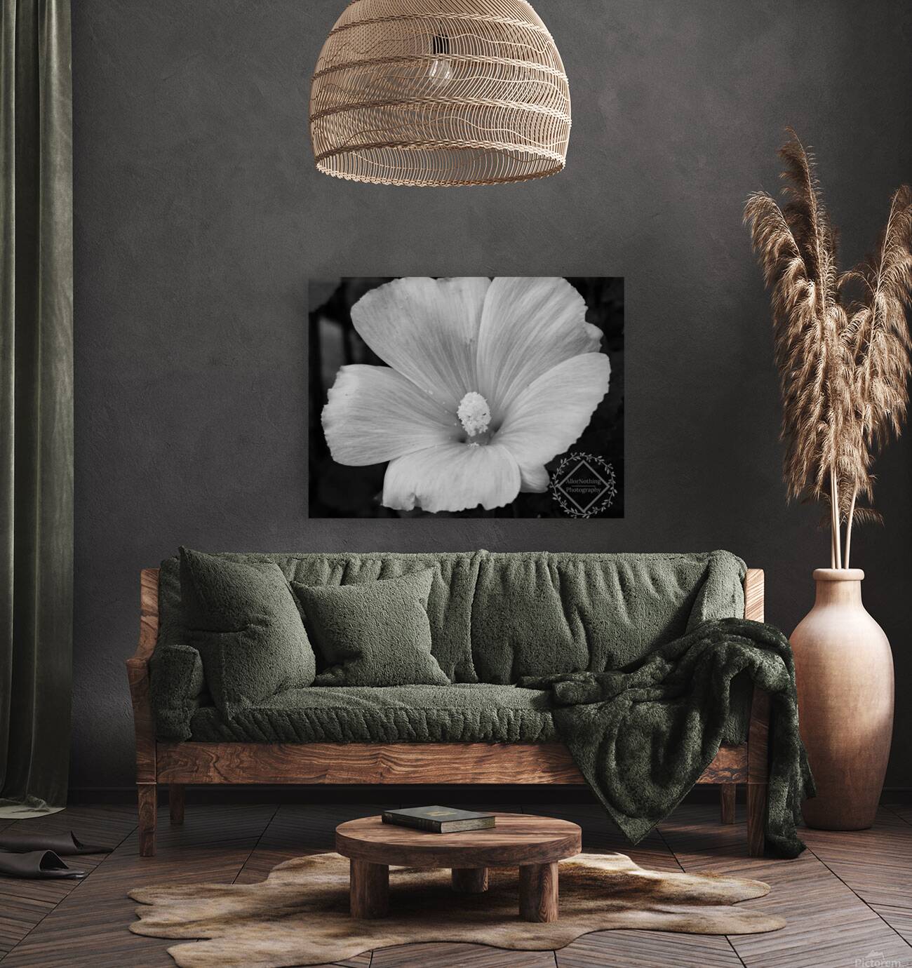 Lavatera  Reproduction