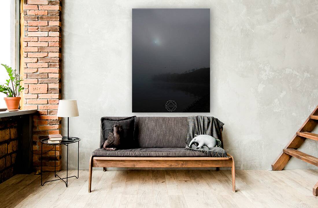 Fog Bay Reproduction