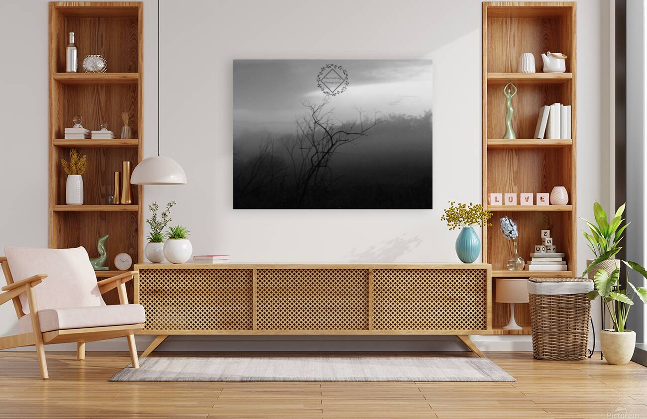 Dark Tree Reproduction