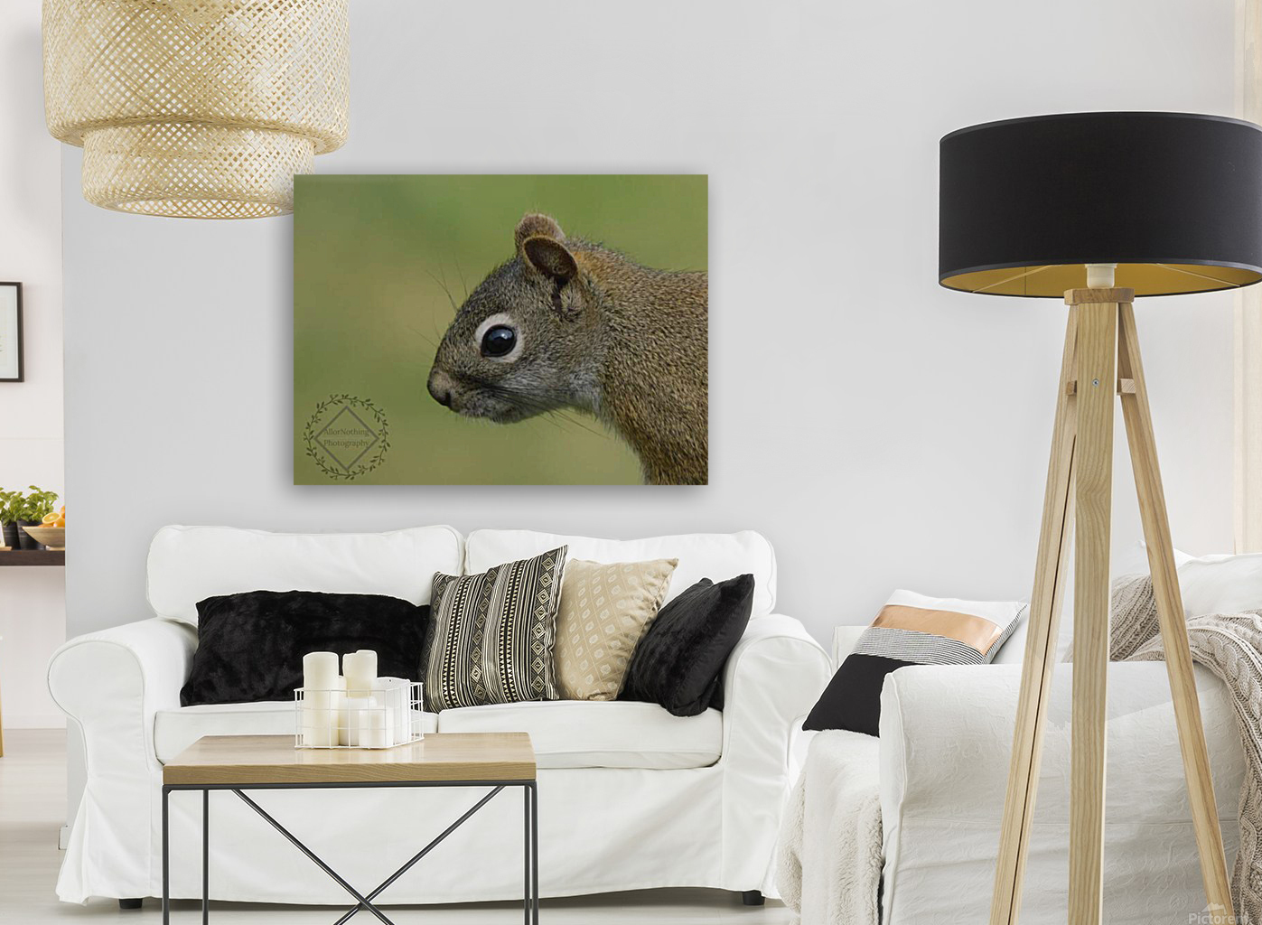 Focused Squirrel Reproduction