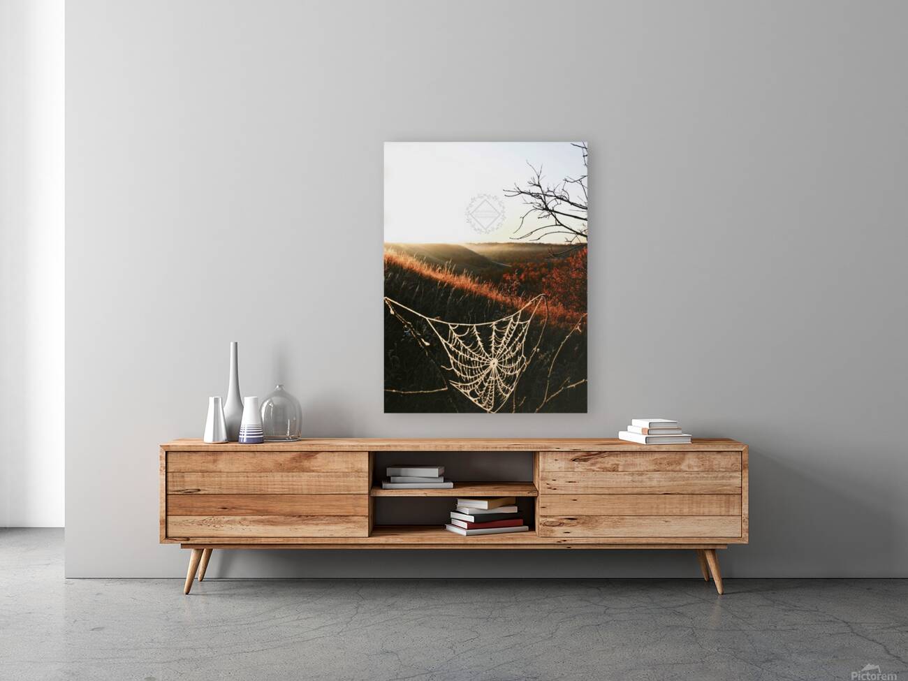 Cobweb Valley Reproduction