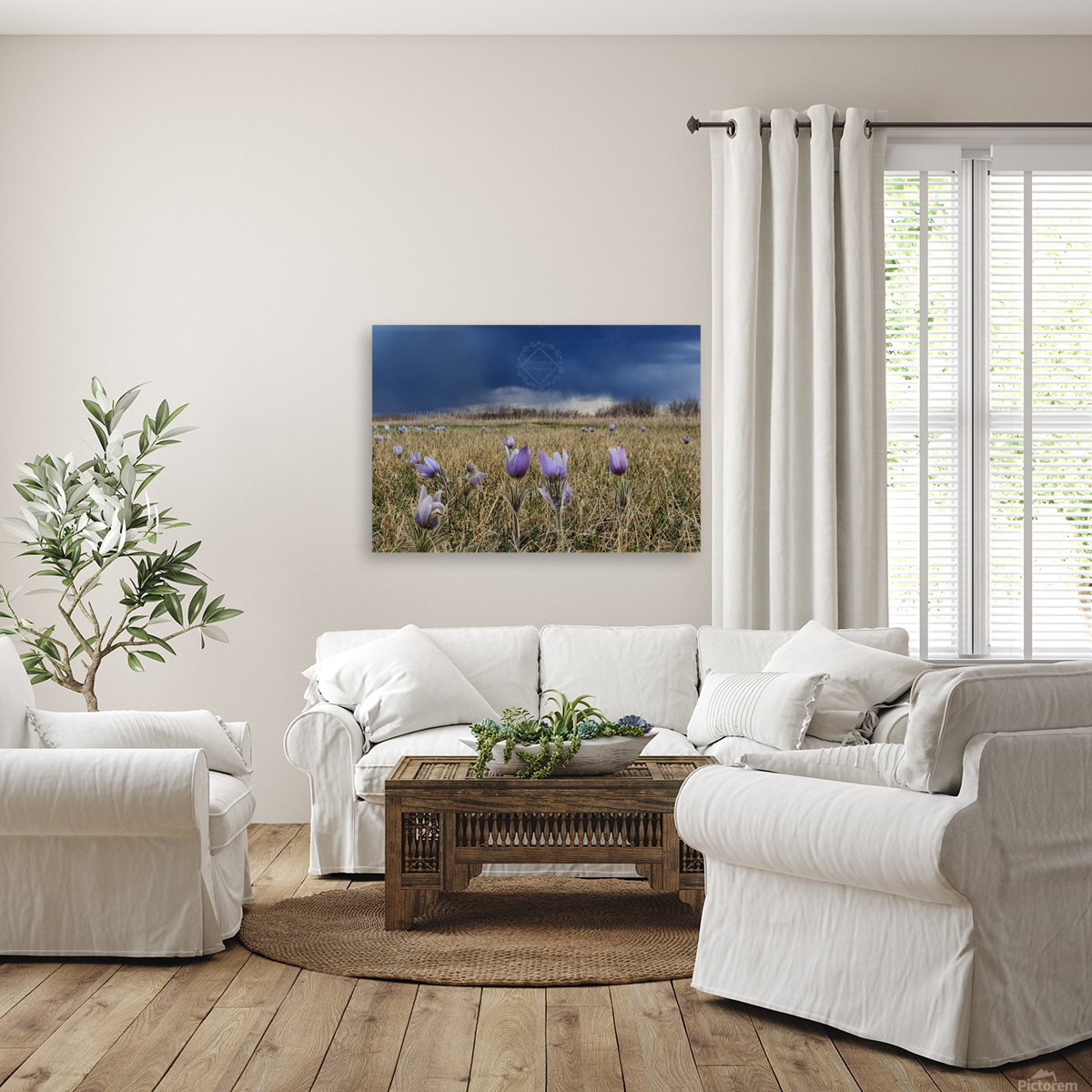 Stormy Crocus Reproduction