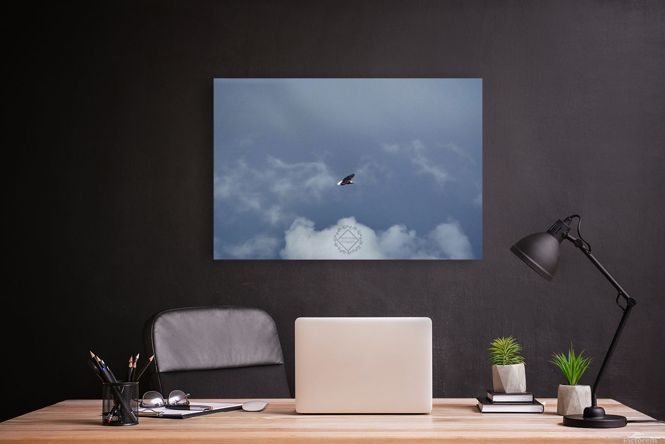 Eagle in the clouds Reproduction