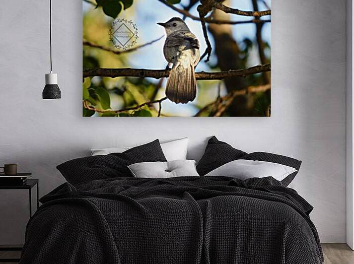 Catbird at Sunset by Ashton Leigh Lerat
