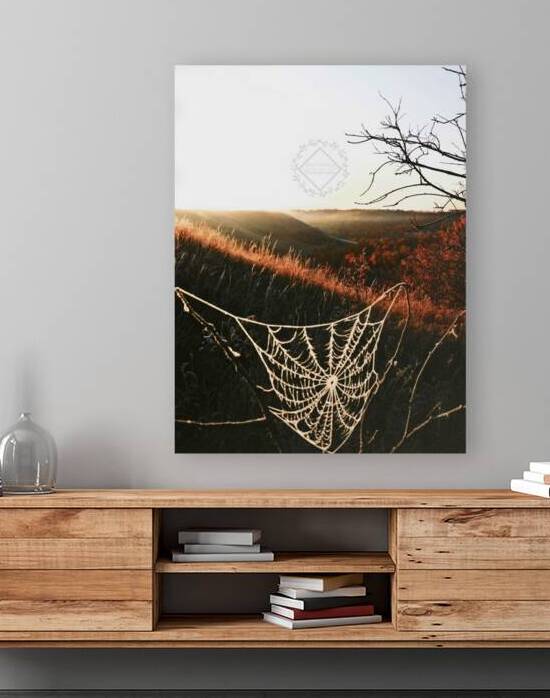 Cobweb Valley by Ashton Leigh Lerat