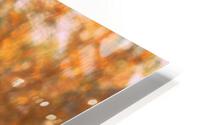 Autumn Eagle II HD Metal print