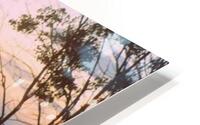 Fog at Sunset HD Metal print