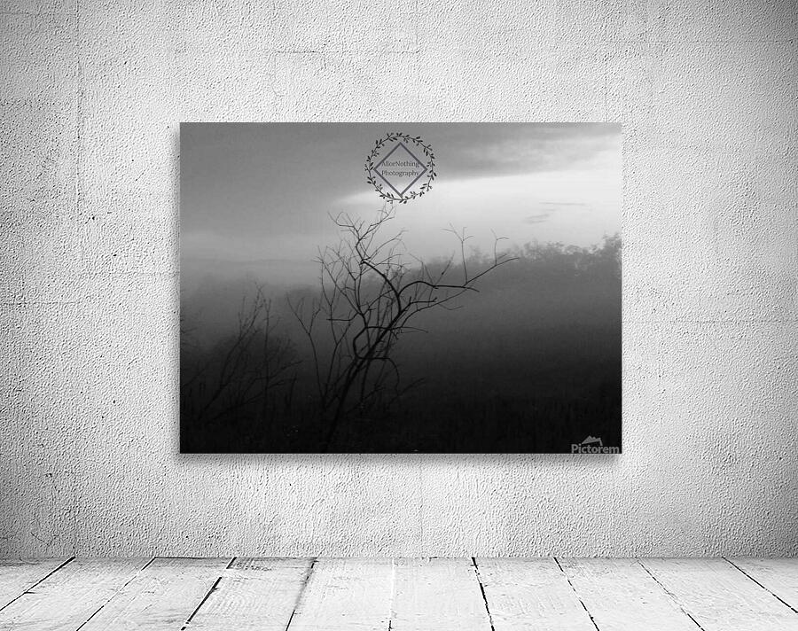 Dark Tree Wall Preview