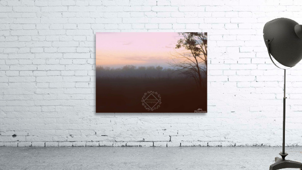 Fog at Sunset Wall Preview