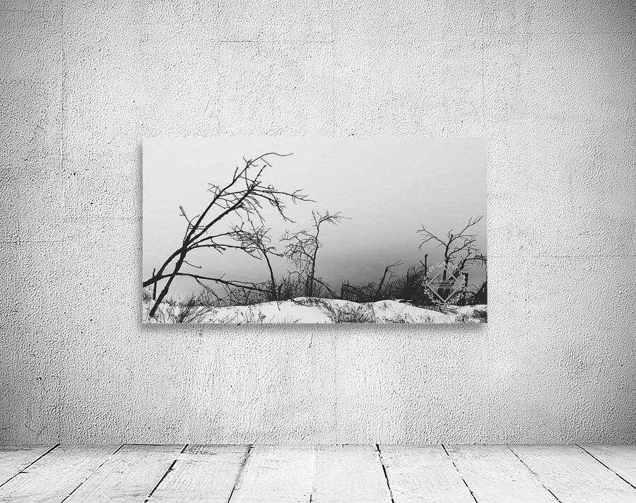Dark Winter Wall Preview