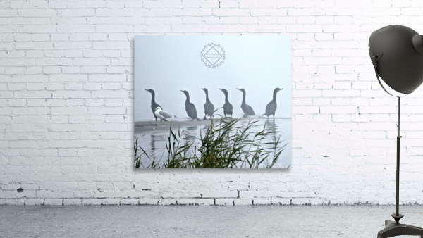 Odd One Out Wall Preview