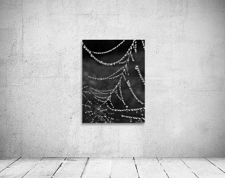 Spiderweb Dew Wall Preview
