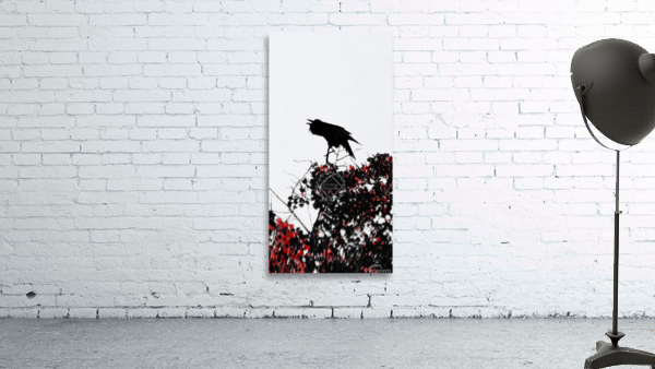 Raven Call Wall Preview