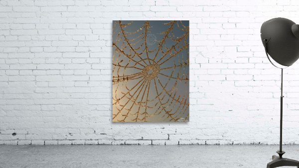 Crystal Web Wall Preview