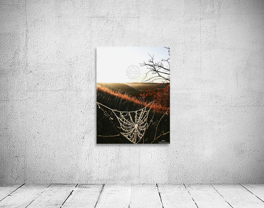 Cobweb Valley Wall Preview