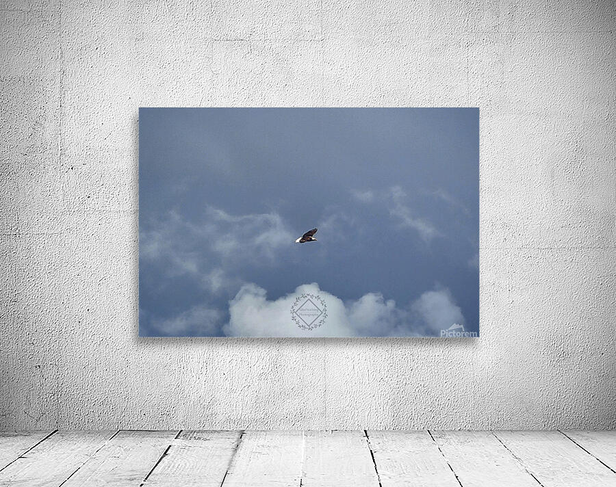 Eagle in the clouds Wall Preview