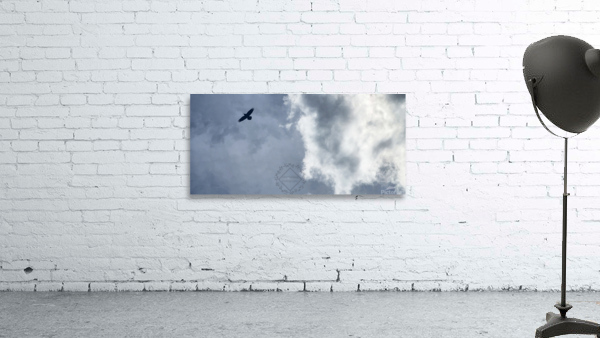 Eagle in flight Wall Preview