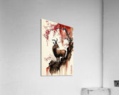 Goat Elegance Acrylic Print
