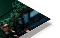 Enchanted Forest HD Metal print