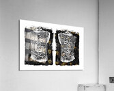 Butterfly Armor  Acrylic Print