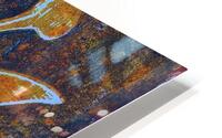 September Moth HD Metal print