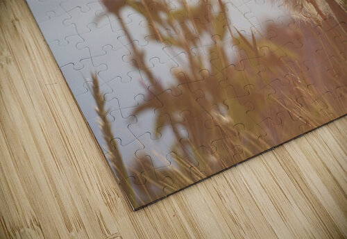 Dandelions Doimo Antonini puzzle