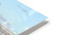 Dolphins HD Metal print