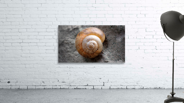 Fibonacci Wall Preview