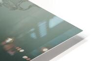 Gloria HD Metal print